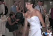 Tags: boom, funny, headshot (GIF in My r/FUNNY favs)