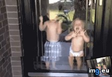 Tags: boy, cannon, funny, saves, sister, water, younger (GIF in My r/FUNNY favs)