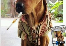 Tags: can, funny, stop (Pict. in My r/FUNNY favs)