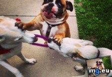 Tags: funny (Pict. in My r/FUNNY favs)