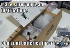 Tags: cat, funny, instructions, lolcats, you (Pict. in LOLCats, LOLDogs and cute animals)