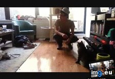 Tags: cats, funny, soldiers, welcoming (GIF in My r/FUNNY favs)