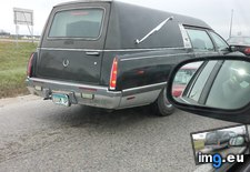 Tags: check, funny, license, plate (Pict. in My r/FUNNY favs)