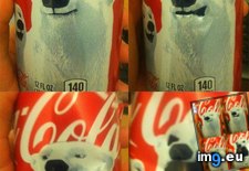 Tags: bear, coca, cola, funny (Pict. in My r/FUNNY favs)