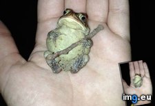 Tags: funny, lemiwinks (Pict. in My r/FUNNY favs)