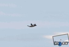 Tags: bay, crash, funny, landing, michael (GIF in My r/FUNNY favs)