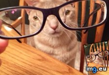 Tags: funny, glasses, weird (Pict. in My r/FUNNY favs)