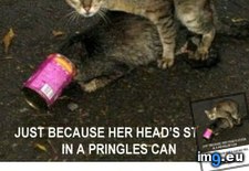 Tags: funny, guy (Pict. in My r/FUNNY favs)
