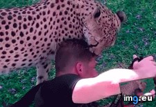 Tags: funny, move (GIF in My r/FUNNY favs)