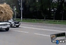 Tags: donald, drive, for, funny, out, trump (GIF in My r/FUNNY favs)