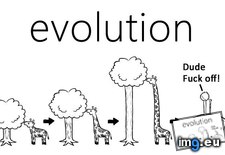 Tags: evolution, funny (Pict. in My r/FUNNY favs)
