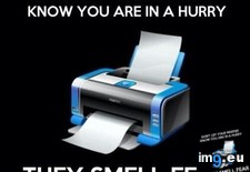 Tags: funny, true (Pict. in My r/FUNNY favs)
