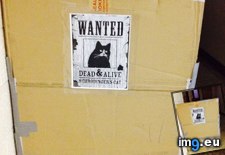 Tags: classroom, funny, physics (Pict. in My r/FUNNY favs)