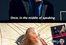 Tags: asleep, falls, funny, gandalf (Pict. in My r/FUNNY favs)