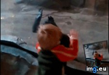 GIF #Funny #Gifs #Favorite #All #One #Time, 4044287B – My r/FUNNY favs