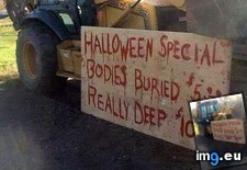 Tags: funny, halloween, special (Pict. in My r/FUNNY favs)