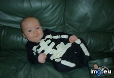 Tags: funny, halloween, happy, ladies (Pict. in My r/FUNNY favs)