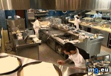 Tags: funny, proud (GIF in My r/FUNNY favs)