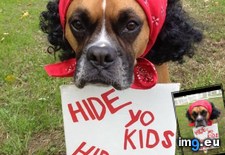 Tags: funny, kids, wife (Pict. in My r/FUNNY favs)