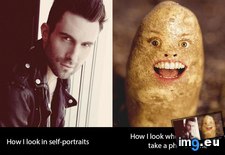 Tags: funny, how, portraits (Pict. in My r/FUNNY favs)