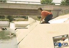 Tags: accept, fate, funny (GIF in My r/FUNNY favs)