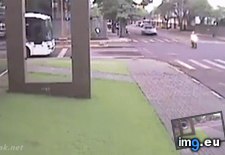Tags: ain, bus, funny, gonna, lose (GIF in My r/FUNNY favs)