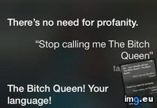 Tags: change, changed, friend, funny, phone, siri (Pict. in My r/FUNNY favs)