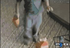 Tags: funny, got (GIF in My r/FUNNY favs)