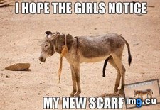 Tags: funny, girls, hope, notice (Pict. in My r/FUNNY favs)