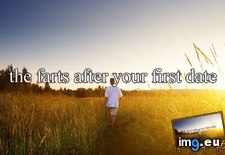 Tags: funny, not, one (Pict. in My r/FUNNY favs)