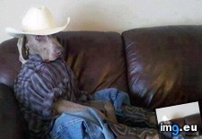 Tags: fits, funny, him, style (Pict. in My r/FUNNY favs)
