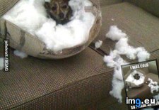 Tags: cold, funny, was (Pict. in My r/FUNNY favs)