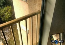 Tags: balcony, funny, promised, was (Pict. in My r/FUNNY favs)
