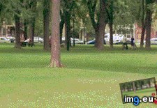Tags: funny, kind, pranks, pull, twin (GIF in My r/FUNNY favs)