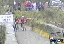 Tags: funny, instant, karma (GIF in My r/FUNNY favs)