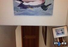 Tags: funny, head, hit (Pict. in My r/FUNNY favs)