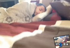 Tags: funny, lazy, sundays (GIF in My r/FUNNY favs)
