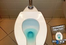 Tags: all, feel, funny, lucky, say (Pict. in My r/FUNNY favs)