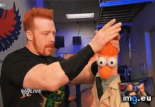 Tags: fellow, for, funny, ginger, out (GIF in My r/FUNNY favs)