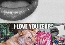 Tags: funny, love (Pict. in My r/FUNNY favs)