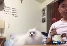 Tags: funny, notice, won (GIF in My r/FUNNY favs)