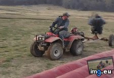 Tags: funny, south (GIF in My r/FUNNY favs)