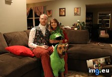 Tags: christmas, family, funny, merry (Pict. in My r/FUNNY favs)