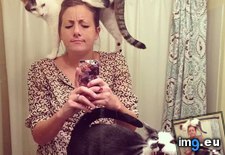 Tags: cat, cute, friend, funny, photo (Pict. in My r/FUNNY favs)