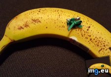 Tags: banana, biggest, card, funny, gift, kid, obsession, present, scale, wrapped (Pict. in My r/FUNNY favs)