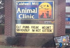 Tags: funny, local, street, vet (Pict. in My r/FUNNY favs)