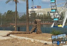 Tags: funny, life, sex (Pict. in My r/FUNNY favs)