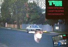 Tags: bird, bro, camera, day, facebook, funny, page, picture, police, posted, saves, states (Pict. in My r/FUNNY favs)