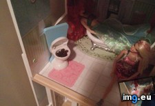 Tags: daughter, funny, needed, old, raisins, she, year (Pict. in My r/FUNNY favs)
