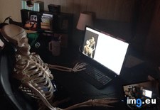 Tags: brought, funny, life, replica, size, skeleton, walked, wife (Pict. in My r/FUNNY favs)